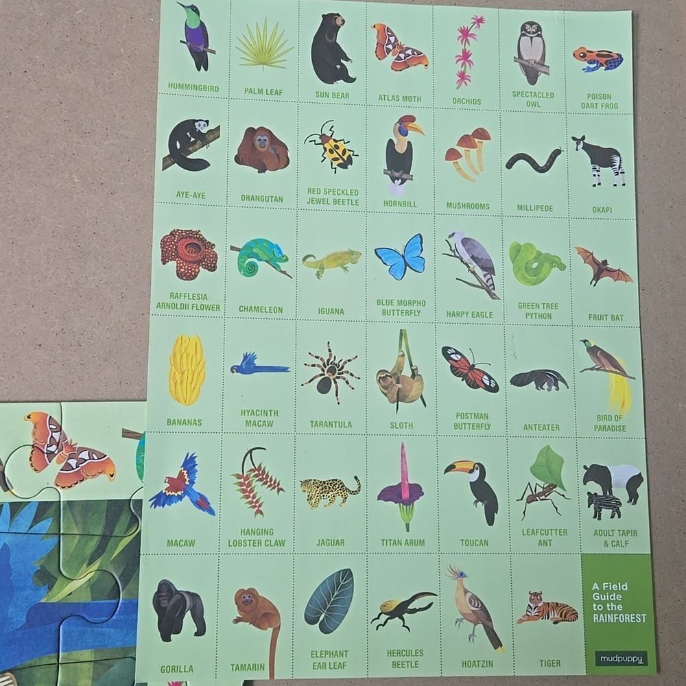 MUDPUPPY RAINFOREST SEARCH AND FIND 64-PUECE PUZZLE - Picture 4 of 6